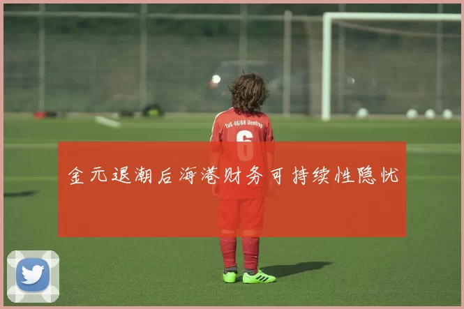 金元退潮后海港财务可持续性隐忧