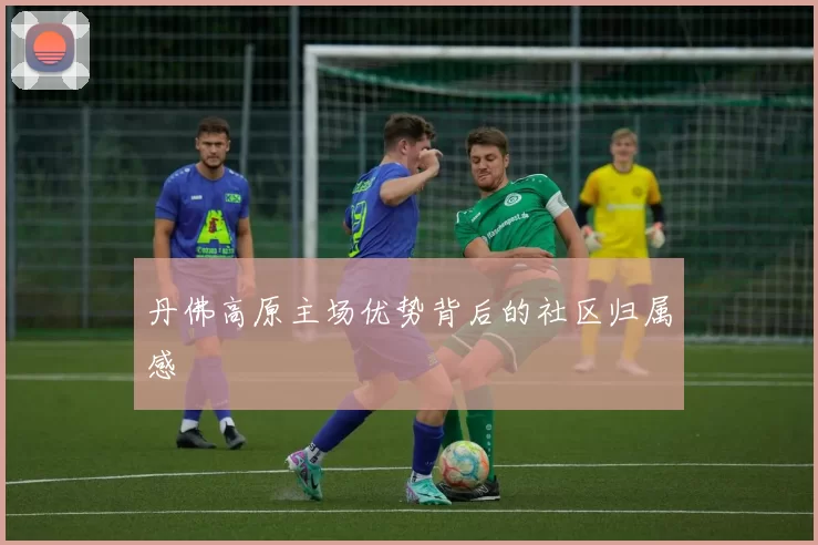 丹佛高原主场优势背后的社区归属感