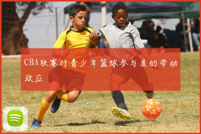 CBA联赛对青少年篮球参与度的带动效应